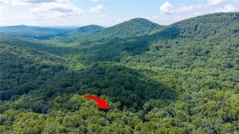 51 Trout Lily Trail Big Canoe GA 30143