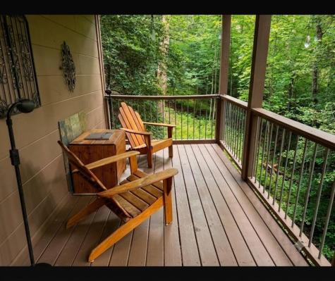 266 Chimney Rock Road Cherry Log GA 30522