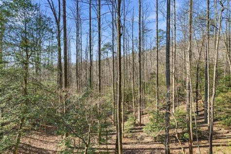 266 Chimney Rock Road Cherry Log GA 30522