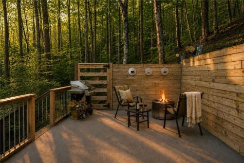 266 Chimney Rock Road Cherry Log GA 30522