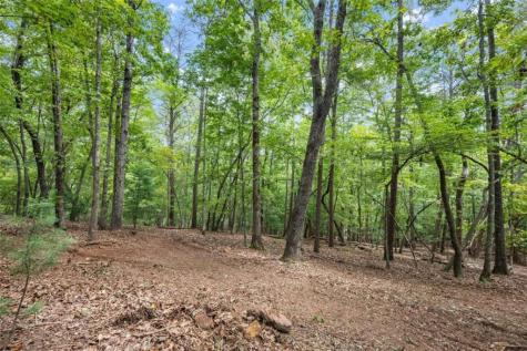 486 Laurel Circle Dahlonega GA 30533