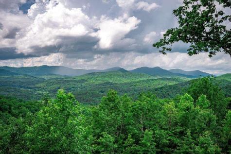 193 Pontoosuc Drive Mineral Bluff GA 30559