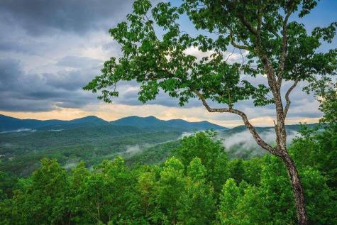 193 Pontoosuc Drive Mineral Bluff GA 30559