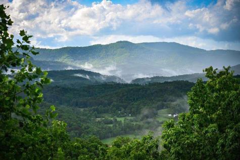 193 Pontoosuc Drive Mineral Bluff GA 30559