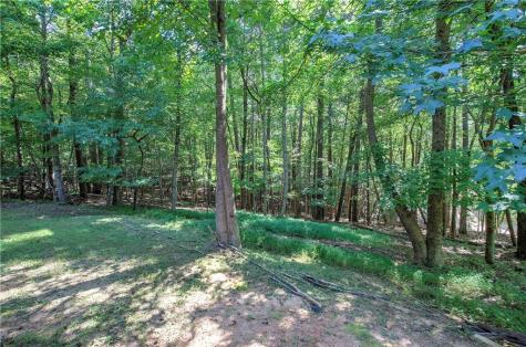 149 Long Swamp Drive Jasper GA 30143