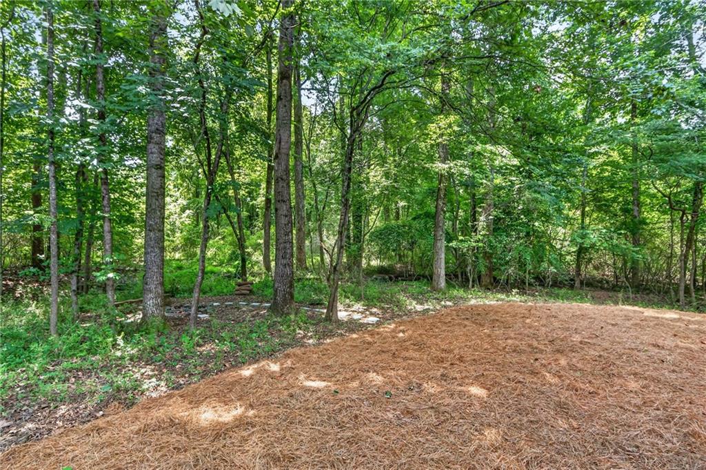 145 Welford Trace Alpharetta GA 30004