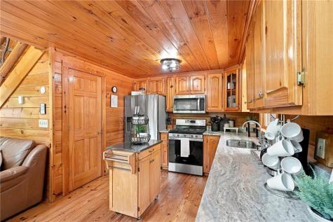 405 Donna Lee Lane Mineral Bluff GA 30559