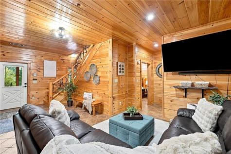 405 Donna Lee Lane Mineral Bluff GA 30559