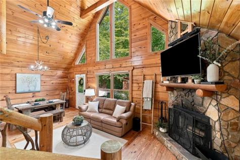 405 Donna Lee Lane Mineral Bluff GA 30559