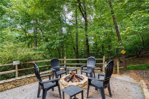 405 Donna Lee Lane Mineral Bluff GA 30559