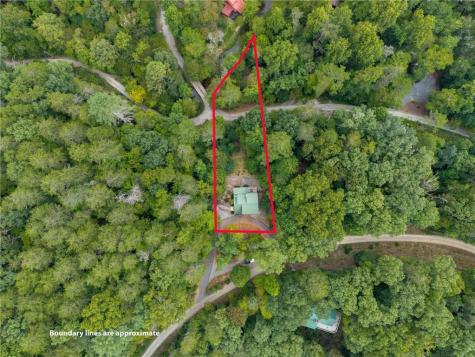 405 Donna Lee Lane Mineral Bluff GA 30559