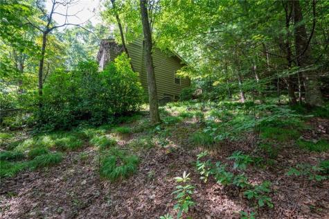 270 Buckskull Hollow Drive Big Canoe GA 30143