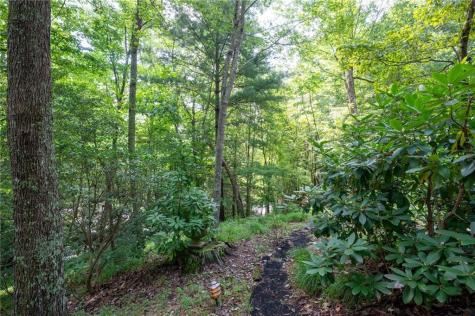 270 Buckskull Hollow Drive Big Canoe GA 30143
