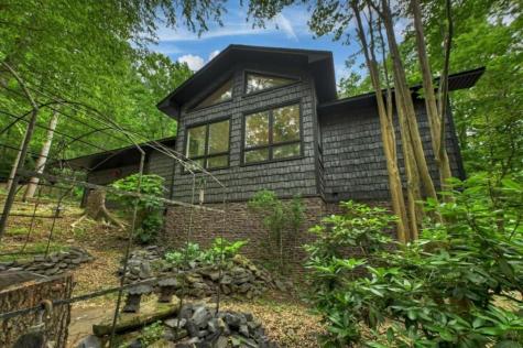 115 New River Estates Mineral Bluff GA 30559