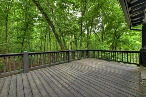 115 New River Estates Mineral Bluff GA 30559
