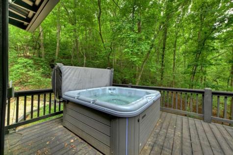 115 New River Estates Mineral Bluff GA 30559