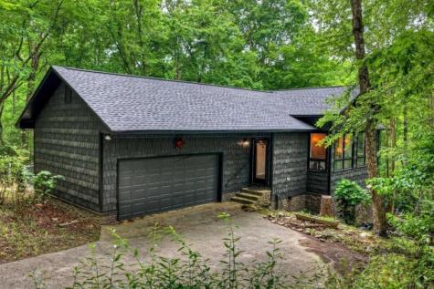 115 New River Estates Mineral Bluff GA 30559