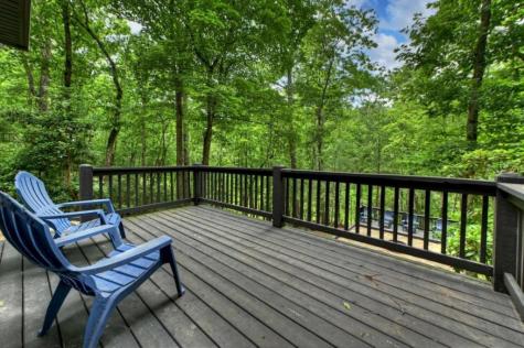 115 New River Estates Mineral Bluff GA 30559