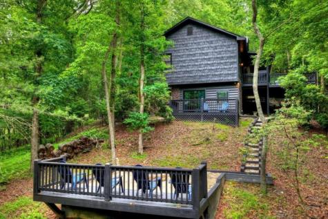 115 New River Estates Mineral Bluff GA 30559