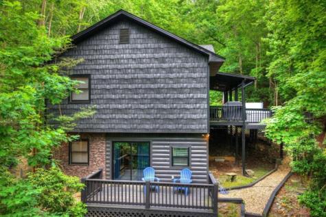 115 New River Estates Mineral Bluff GA 30559