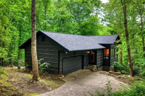 115 New River Estates Mineral Bluff GA 30559