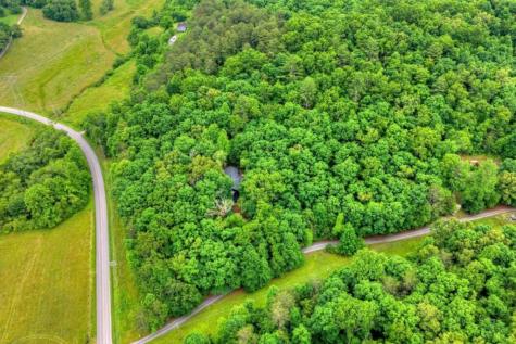 115 New River Estates Mineral Bluff GA 30559