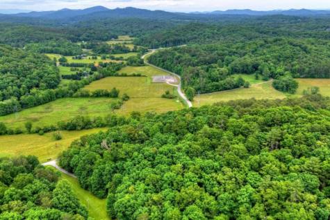 115 New River Estates Mineral Bluff GA 30559