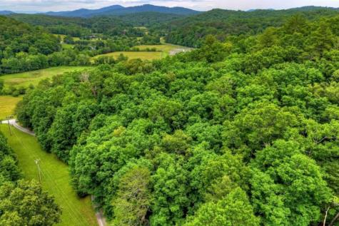 115 New River Estates Mineral Bluff GA 30559