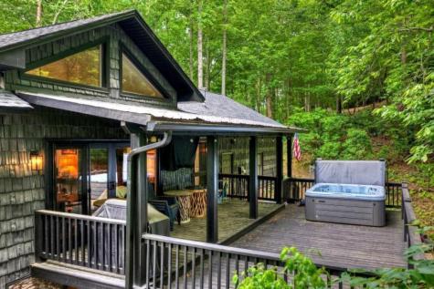 115 New River Estates Mineral Bluff GA 30559
