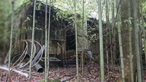 202 Standing Rock Lane Ellijay GA 30540