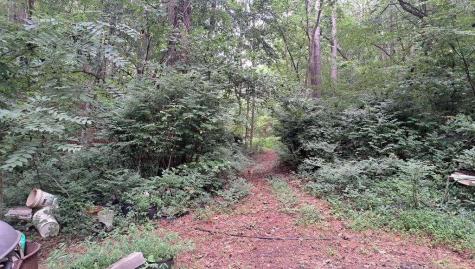 202 Standing Rock Lane Ellijay GA 30540