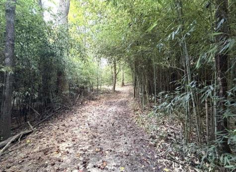 202 Standing Rock Lane Ellijay GA 30540