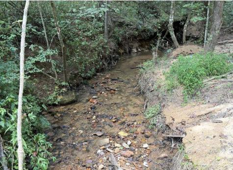202 Standing Rock Lane Ellijay GA 30540