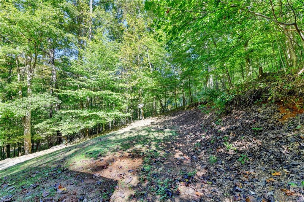 148 Chestatee Drive Dahlonega GA 30533