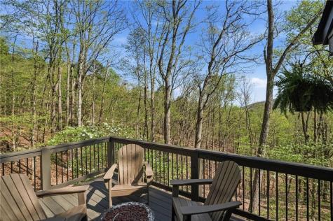 229 Tea Berry Lane Jasper GA 30143