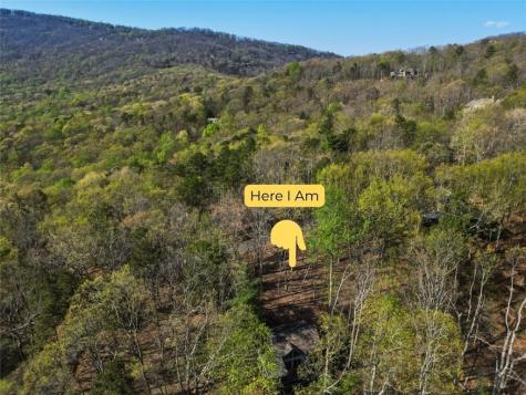 229 Tea Berry Lane Jasper GA 30143