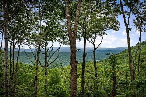 380 Utana Bluffs Trail Ellijay GA 30540