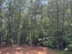 202 Hannahs Drive Dahlonega GA 30533