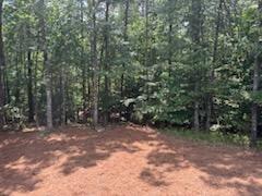 202 Hannahs Drive Dahlonega GA 30533