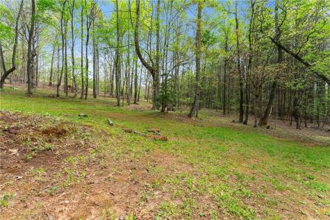 656 Stanley Nix Road Cleveland GA 30528