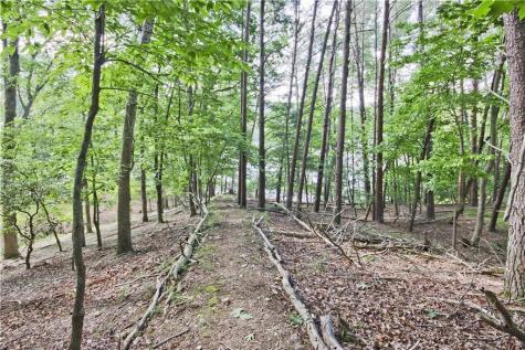 149 Long Swamp Drive Jasper GA 30143