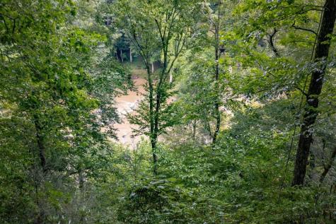 795 Fugue Drive Ellijay GA 30540