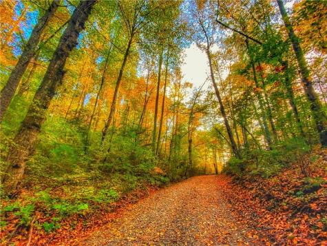 500 Big Sky Trail Dahlonega GA 30533