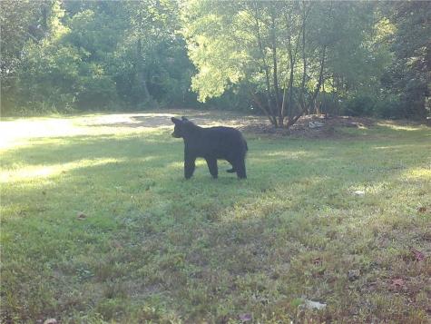 500 Big Sky Trail Dahlonega GA 30533