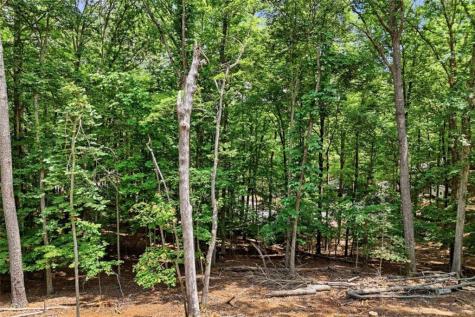 1883 Newport Drive Ellijay GA 30540