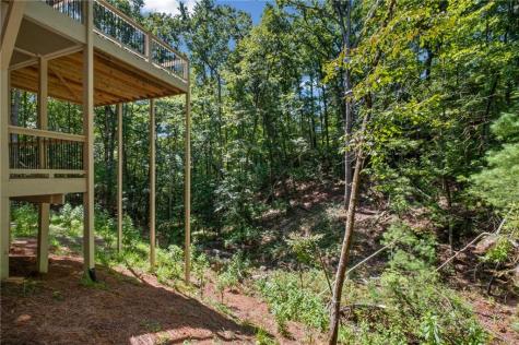 56 Black Bear Point Big Canoe GA 30143