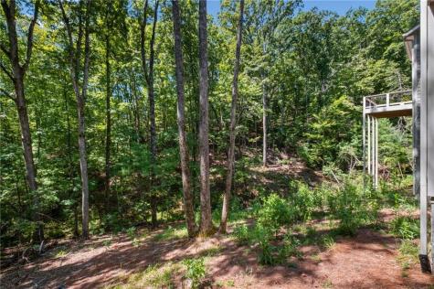 56 Black Bear Point Big Canoe GA 30143