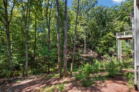 56 Black Bear Point Big Canoe GA 30143