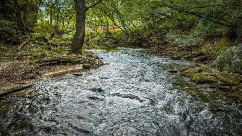 66 Woodland Trail Epworth GA 30541