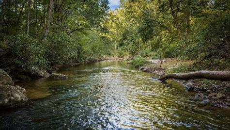 66 Woodland Trail Epworth GA 30541